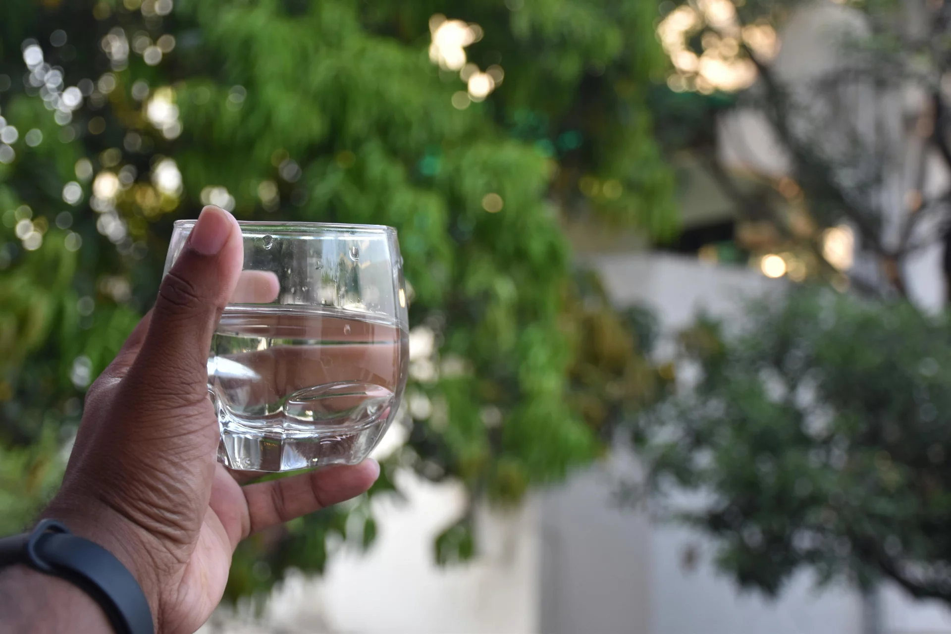 Reines Wasser und eine leichte pflanzliche Ernährung